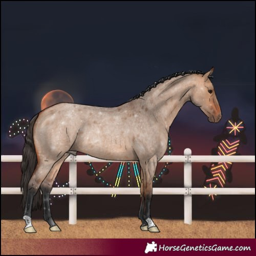 Horse Color:Bay Roan Dun 