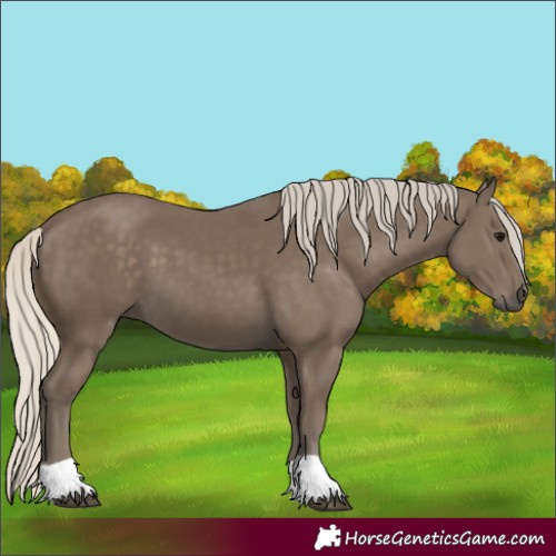 Horse Color:Silver Smoky Black 
