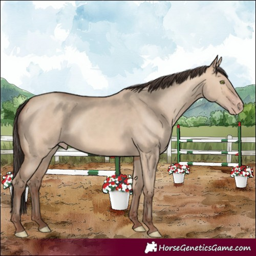 Horse Color:Amber Champagne Dun 