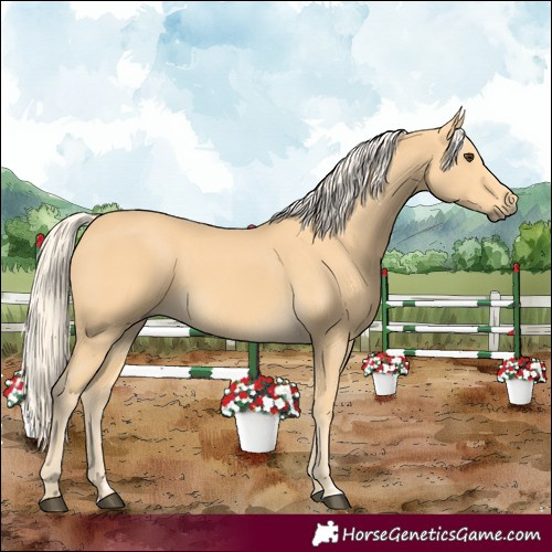 Horse Color:Palomino