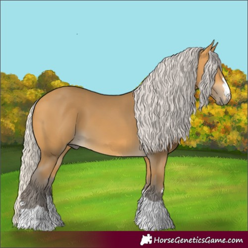 Horse Color:Silver Buckskin 