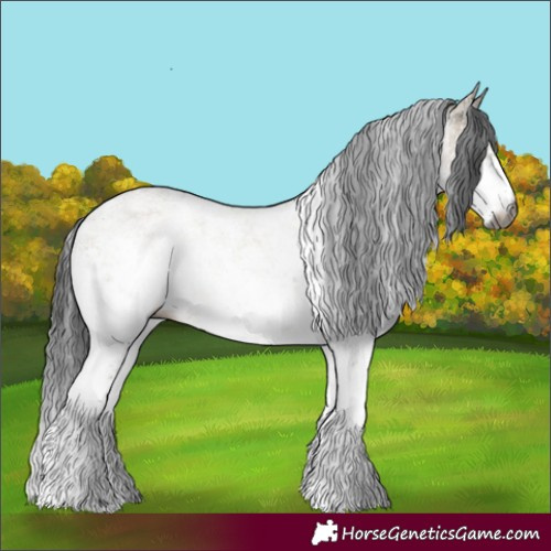 Horse Color:Gray White Spotted Brown Dun Sabino 