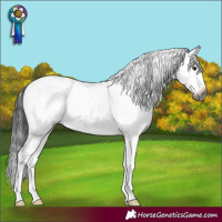 Horse Color:Gray Buckskin Sabino Rabicano