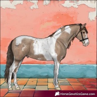Horse Color:Classic Champagne Sabino Tobiano