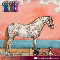 Horse Color:Palomino Near Leopard and Chestnut Near Leopard