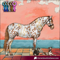 Horse Color:Palomino Near Leopard  and Chestnut Near Leopard 