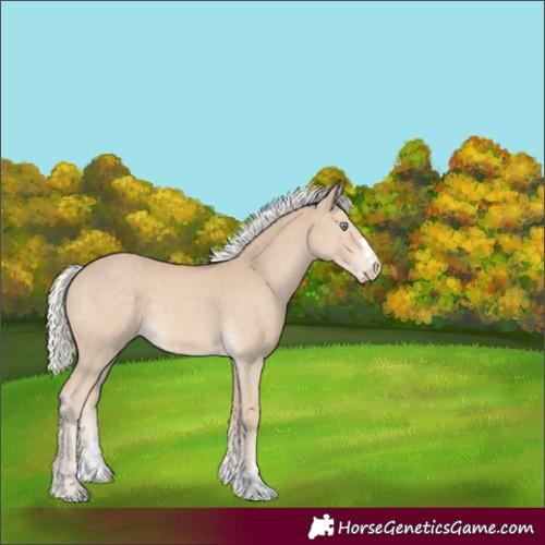 Horse Color:Silver Smoky Creme