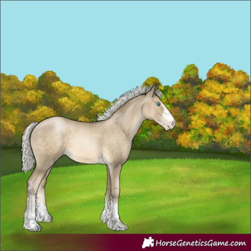 Horse Color:Silver Smoky Black Pearl Appaloosa 
