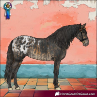 Horse Color:Buckskin  and Black Blanket 