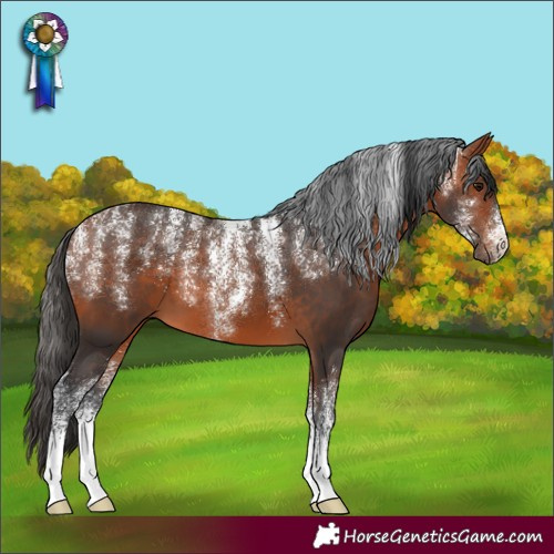 Horse Color:Powder White Bay