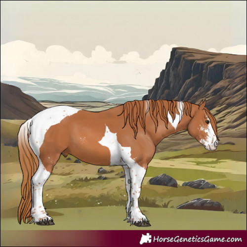 Horse Color:Chestnut Sabino Tobiano 
