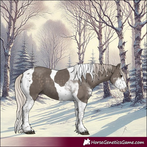 Horse Color:Silver Black Sabino Tobiano 
