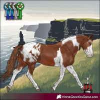 Horse Color:Chestnut Sabino Tobiano Blanket