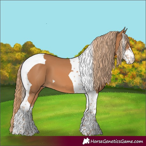 Horse Color:Chestnut Sabino Tobiano