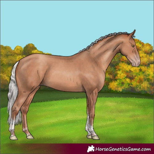 Horse Color:Silver Sable Champagne Tobiano 