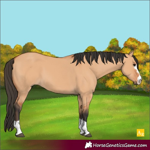 Horse Color:Unknown 