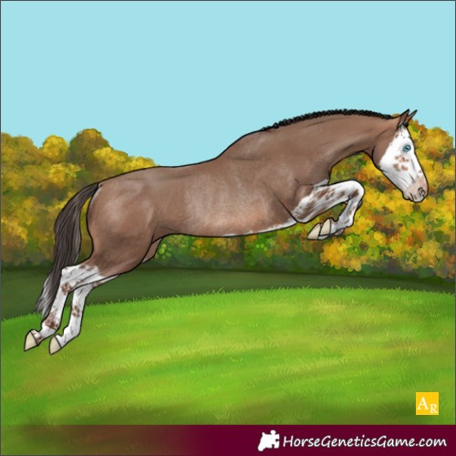 Horse Color:Sable Champagne Splash Rabicano 