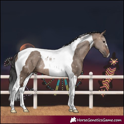 Horse Color:Brown Dun Tobiano Rabicano