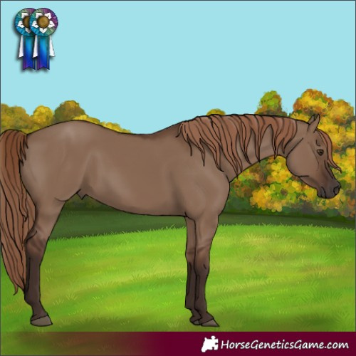 Horse Color:Liver Red Dun