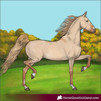 Horse Color:Red Dun 
