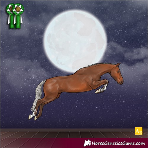 Horse Color:Silver Bay 