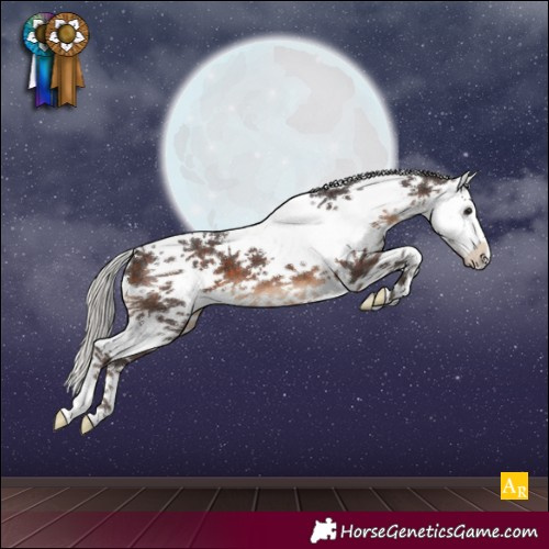 Horse Color:Silver Brown Sabino 