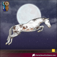 Horse Color:Silver Brown Sabino 