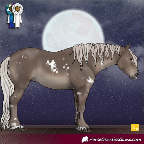 Horse Color:White Spotted Silver Black 