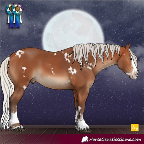 Horse Color:White Spotted Silver Bay Sabino Splash