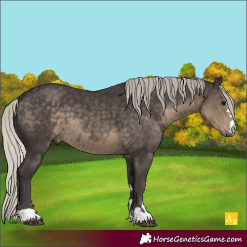 Horse Color:Silver Smoky Black 