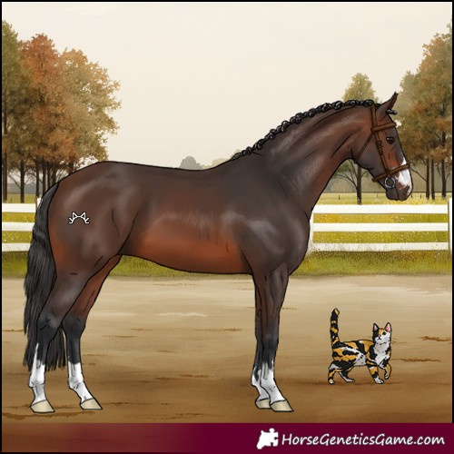 Horse Color:Brown 