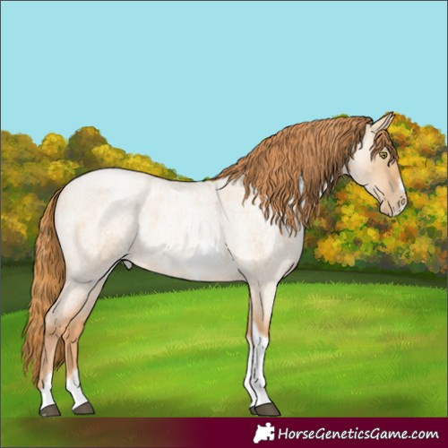Horse Color:Red Dun Roan Pearl Tobiano Frame