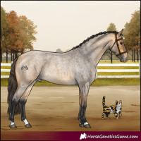 Horse Color:Buckskin Roan