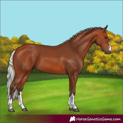 Horse Color:Silver Bay