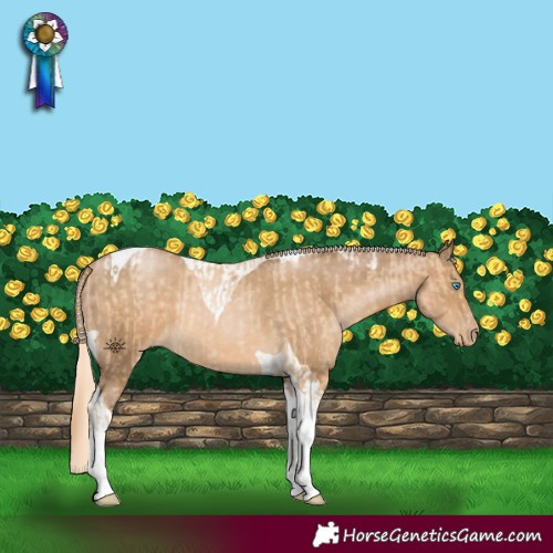 Horse Color:Buckskin Pearl Tobiano and Chocolate Palomino Snowdrop Tobiano