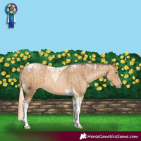 Horse Color:Buckskin Pearl Tobiano  and Chocolate Palomino Snowdrop Tobiano 