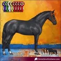 Horse Color:Black Tobiano