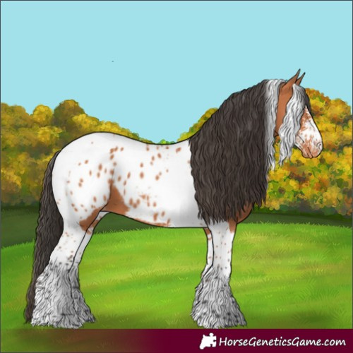 Horse Color:Bay Sabino Tobiano Blanket 