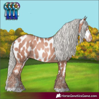 Horse Color:Gold Champagne Mushroom Near Leopard 