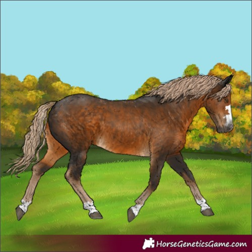 Horse Color:Gray Chocolate Palomino Mushroom