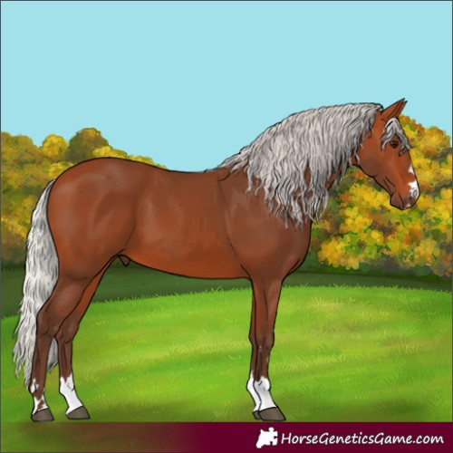 Horse Color:Silver Bay