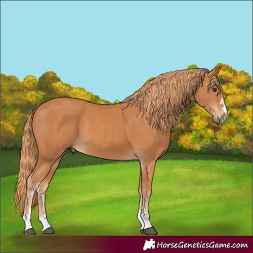 Horse Color:Unknown