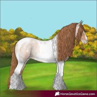 Horse Color:Red Roan Pearl Tobiano Frame 