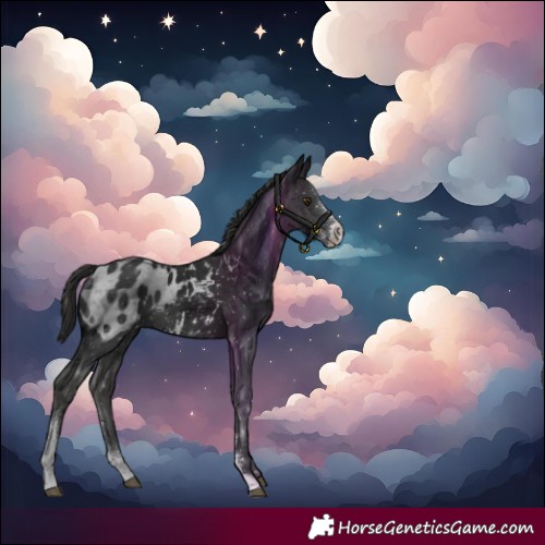 Horse Color:Liver Chestnut Sabino Appaloosa