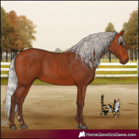 Horse Color:Silver Bay