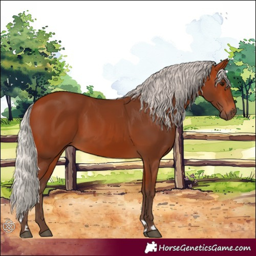 Horse Color:Silver Bay