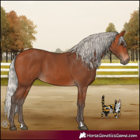 Horse Color:Silver Bay
