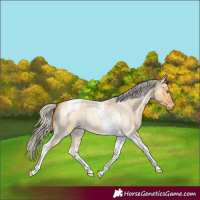 Horse Color:Silver Buckskin Roan Dun Tobiano 