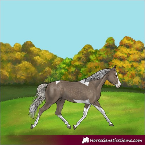 Horse Color:Silver Smoky Black Splash Tobiano