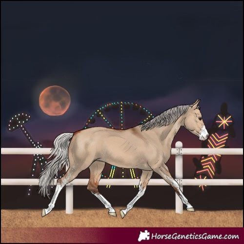 Horse Color:Silver Bay Dun Sabino
